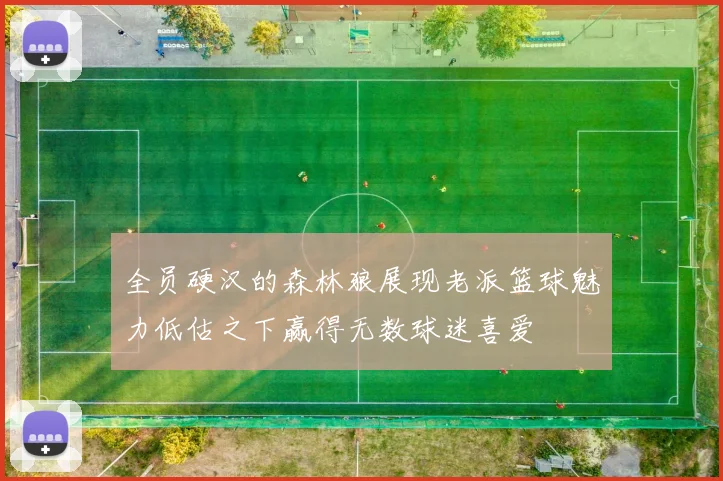 全员硬汉的森林狼展现老派篮球魅力低估之下赢得无数球迷喜爱