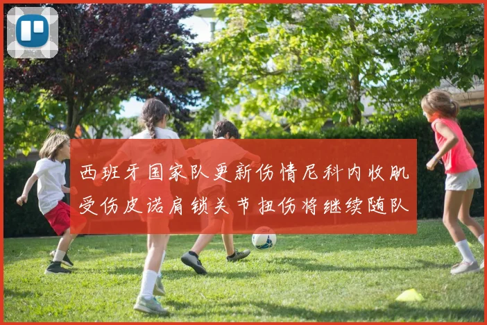 西班牙国家队更新伤情尼科内收肌受伤皮诺肩锁关节扭伤将继续随队训练